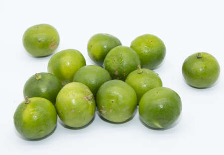 green lemonの写真素材