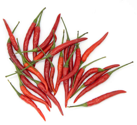 red hot chilli  and garlicの写真素材