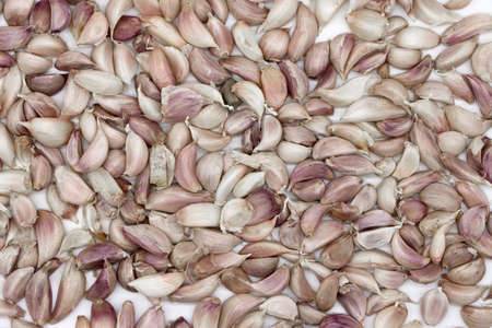 garlicの写真素材