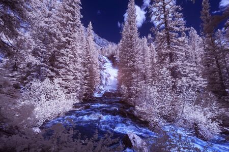 A river on a mountain in Montana taken in Infra Red.