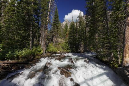A flowing whitewater river in Montana.