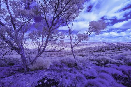 The Blue Mountain in infrared in New South Wales, Australiaの写真素材