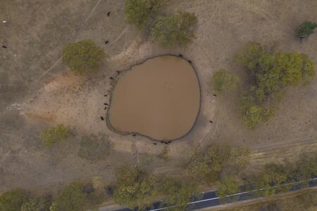 Aerial view of an agricultural water dam with cows and ducks outside of Adelaide in South Australia
