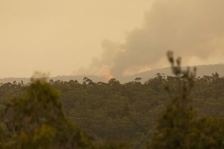 Bushfire burning in The Blue Mountains in Australia with considerable black smoke