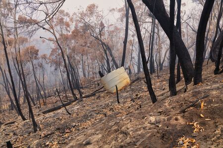 A water tank and gum trees burnt by bushfire in The Blue Mountains in Australia