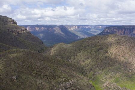 A forest valley burnt by bush fire in Australia beginning to regenerateの写真素材