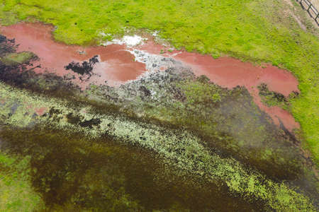 Aerial view of flooding in an agricultural field in New South Wales in Regional Australia