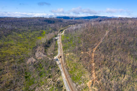 Aerial view of a train line running through and area of forest regeneration after bushfire in Dargan...