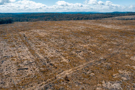 Aerial view of a cleared open field affected by bushfire in the Central Tablelands in regional New South Wales in Australiaの写真素材
