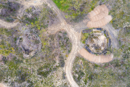 Aerial photograph of structural ruins and forest regeneration after bushfires near Clarence in the...