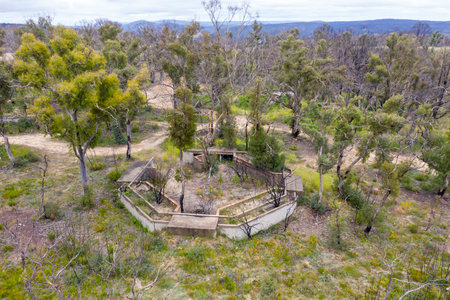 Aerial photograph of structural ruins and forest regeneration after bushfires near Clarence in the Central Tablelands in regional New South Wales in Australiaの写真素材