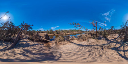 Spherical panoramic photograph of fallen trees after severe flooding in Yarramundi Reserve in the Hawkesbury region of New South Wales in Australiaの写真素材