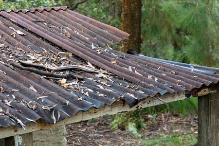 Photograph of an old brown rusty roof covered in fallen leaves on an explorers hut in The Blue...