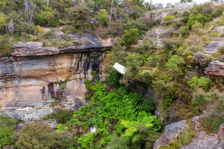 Photograph of a large white bed mattress that has been thrown into a ravine as rubbish amongst trees, ferns, and rocks.の写真素材