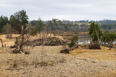 Photograph of severe flood damage in Yarramundi Reserve caused by flooding in the Nepean River in the Blue Mountains in New South Wales in Australiaの写真素材