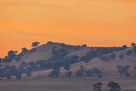 Photograph of a vibrant orange sunrise coming up over a hill and valley in agricultural bushland in the Central Tablelands in NSW, Australia.の写真素材