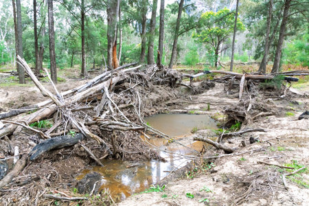 Photograph of severe flood damage along the Capertee River in the Capertee Valley in the Wollemi...