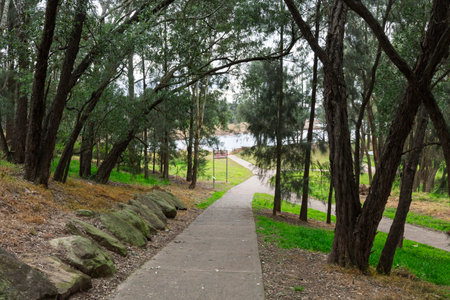 Photograph of a public cement walking path that meanders through the trees and parklands of...