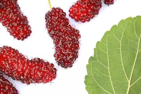 Mulberries fruit isolated on white background, selective focusの写真素材