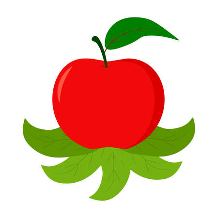 Apple put on green leaves with white background vector illustration flat design line icon, Fruit pattern backgroundのイラスト素材