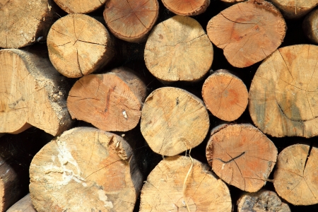 a timber for Build a houseの写真素材