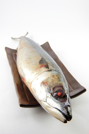 Saba fish on white backgroundの写真素材