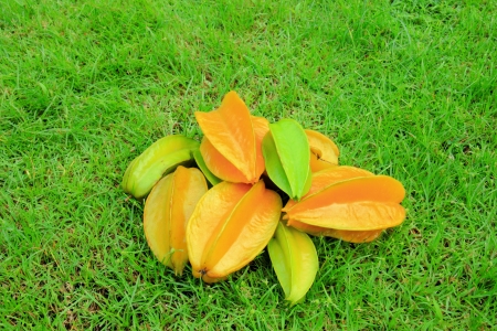 Star apple in green lawnの写真素材