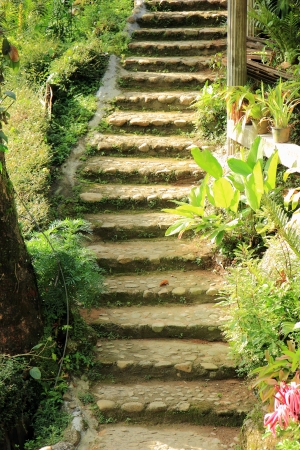 A passage in the gardenの写真素材