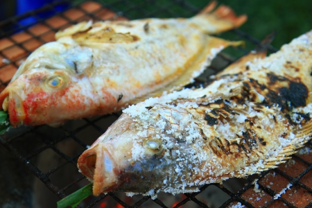 The thailand fish grilled の写真素材