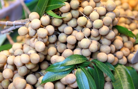 Longan in thailand marketの写真素材