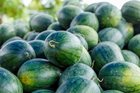 green watermelon in thailand