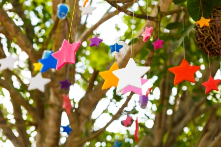 colorful candle stars on treeの写真素材