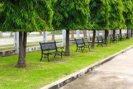 black chair under tree in parkの写真素材
