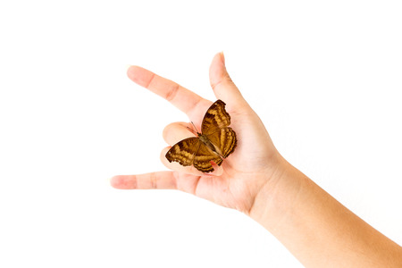 Brown butterfly on hand
