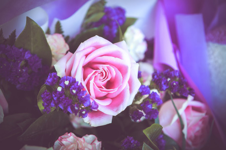Pink rose with purple bouquetの写真素材
