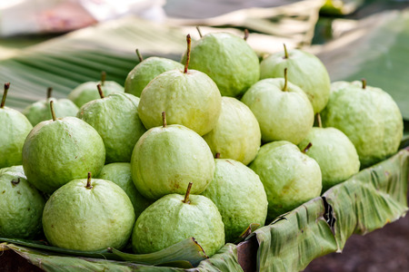 Green guava on banana leaveの写真素材