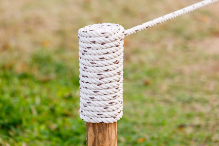 rope knot on wood in gardenの写真素材