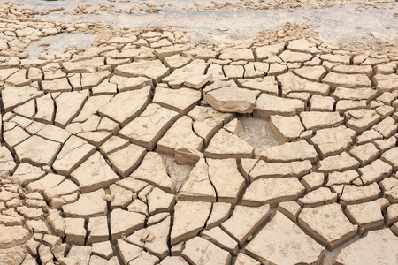 surface crack of soil in arid area