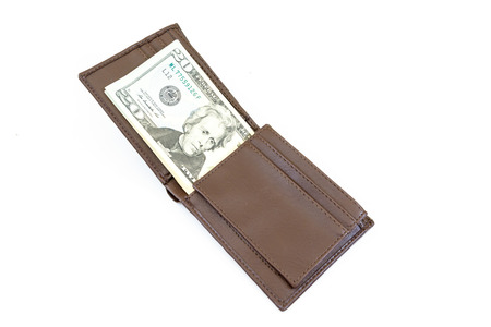 dollars money in bag on white background
