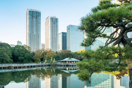 TOKYO- NOVEMBER 28 2015: View of tokyo cityscape with park, Japan on November 28, 2015.のeditorial素材