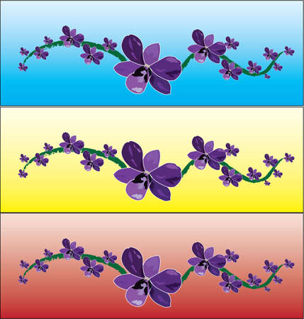 orchid in backgroundのイラスト素材