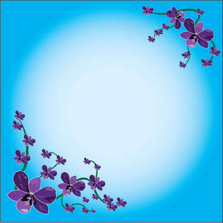 orchid in background frameのイラスト素材