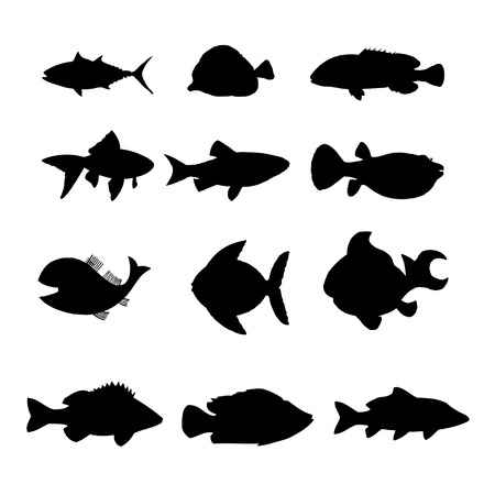 isolated fish collection vectorのイラスト素材