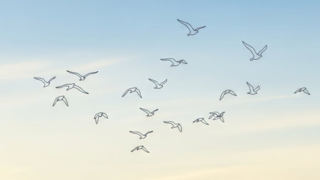A flock of birds is depicted against a gradient sky in a minimalist illustration style. The composition features a variety of bird positions. The color palette incorporates soft blues and yellows. Suitable for designs needing a natural theme, the image can be used in various commercial or editorial contexts.の素材