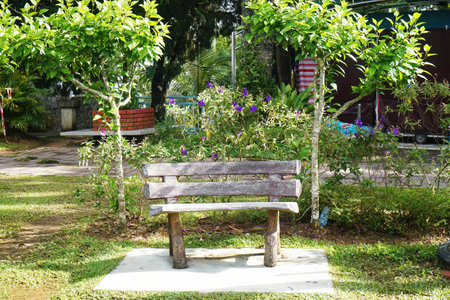 Wooden bench in the garden, Penang. (Selective focus)の写真素材