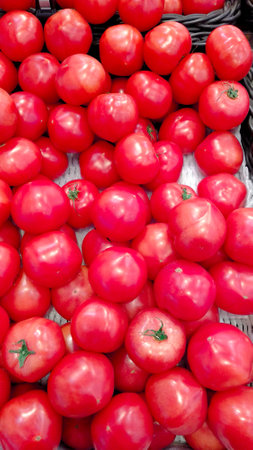 Fresh red tomatoes on the counter of the store. Close-up.の写真素材