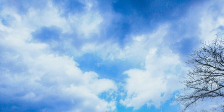 Blue sky with white clouds and tree. Panoramic image.の写真素材