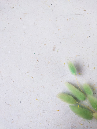 Top view of grass flower on white paper background with copy space.の写真素材