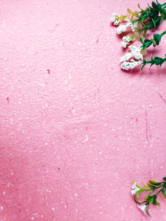 White flowers on pink background. Flat lay, top view, copy spaceの写真素材