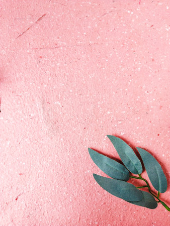 Eucalyptus branch on pink background. Flat lay, top view.